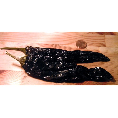 Chile Pasilla