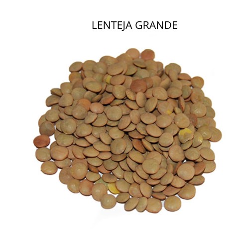 Lenteja Grande