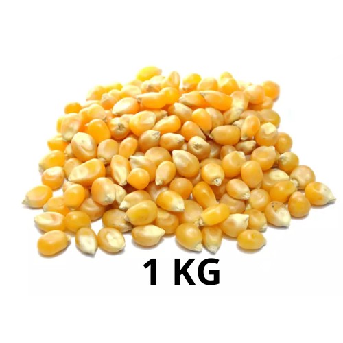 Maíz Palomero En Bolsa 1 Kg