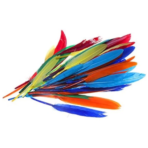 Plumas De Colores Largas